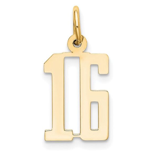 14k Yellow Gold Small Elongated Number 16 Charm
